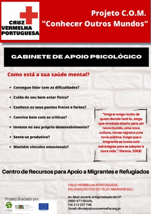 FAMI - Apresentação Online - LIVRO RAVI - Por Sara Avelar